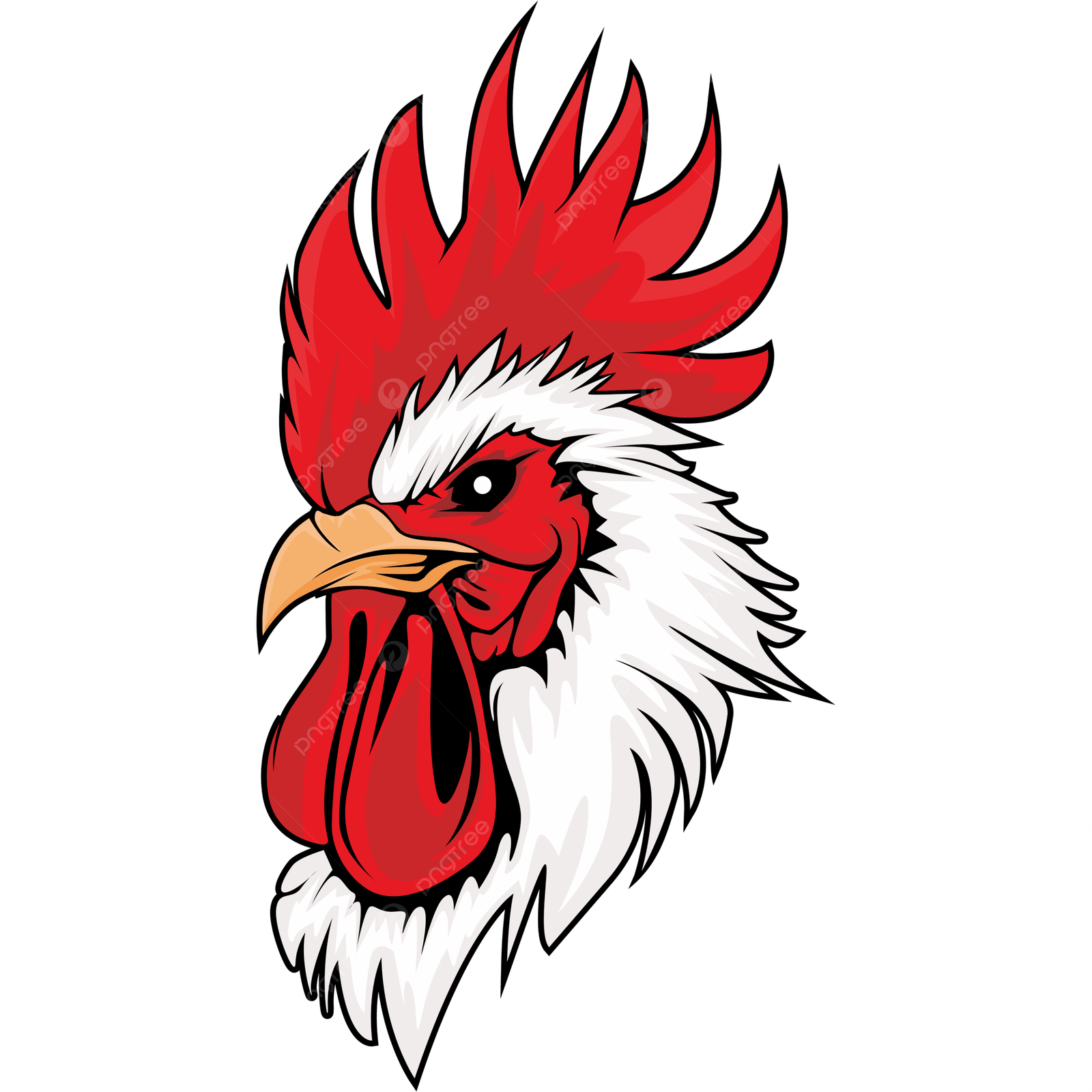 Poultry Farmers in Liberia
